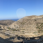 TP592. Φολέγανδρος: Αγροτεμάχιο