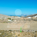 TP613. Φολέγανδρος: Εγκαταλελειμμένο Αμπέλι στην περιοχή Λιβάδι